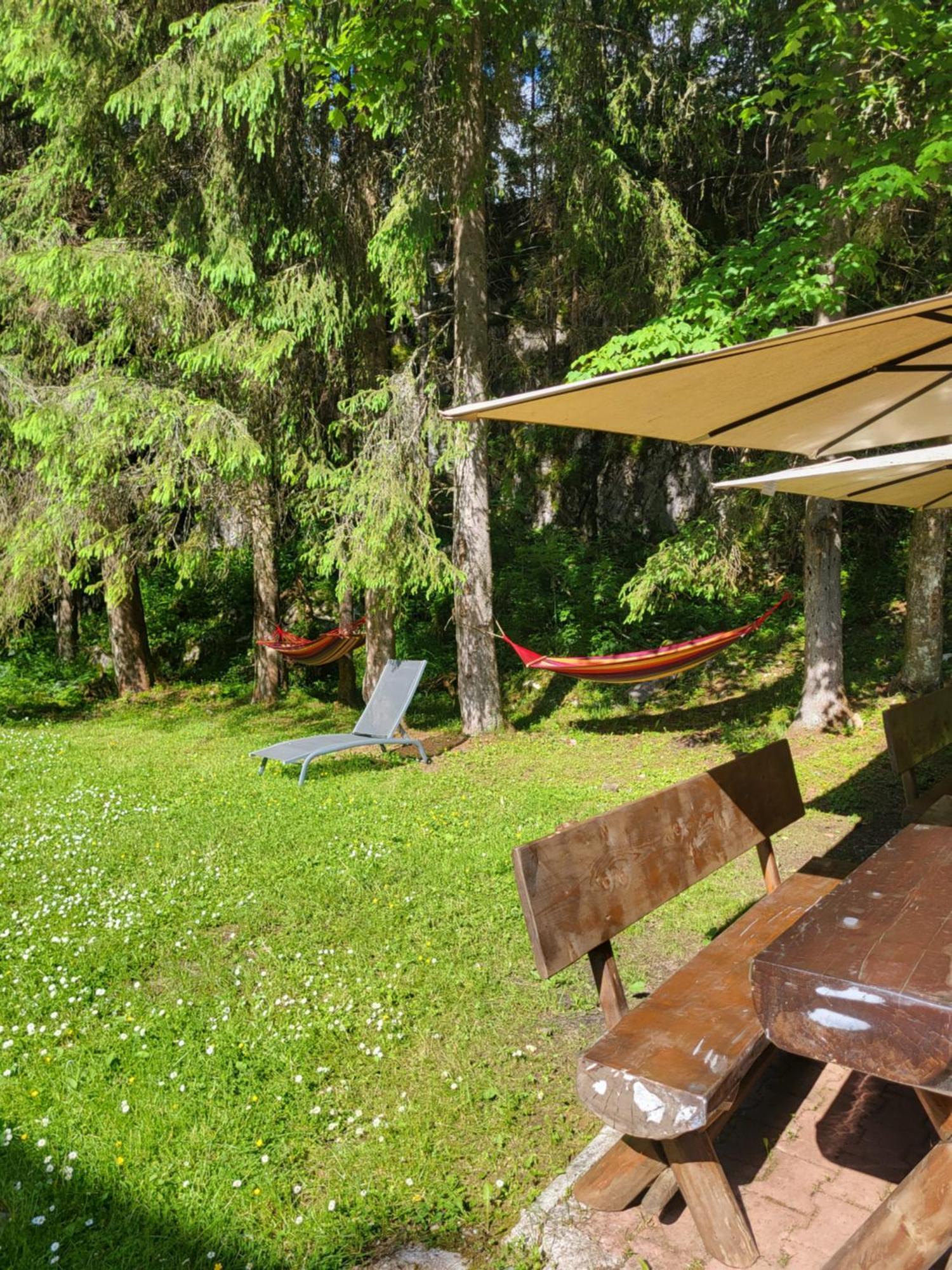 Pension Cabana Cetatile Ponorului Padis Exterior photo