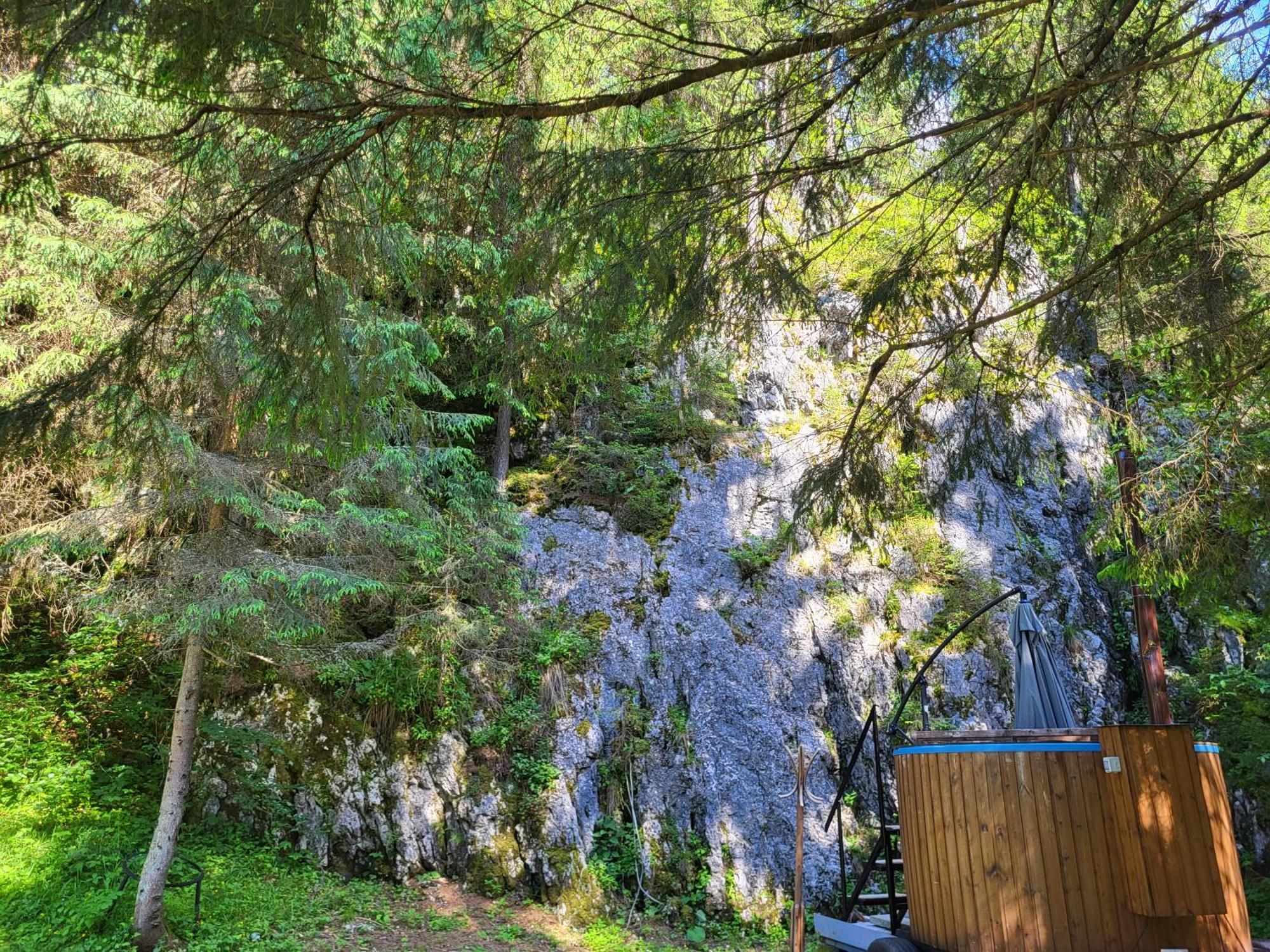 Pension Cabana Cetatile Ponorului Padis Exterior photo